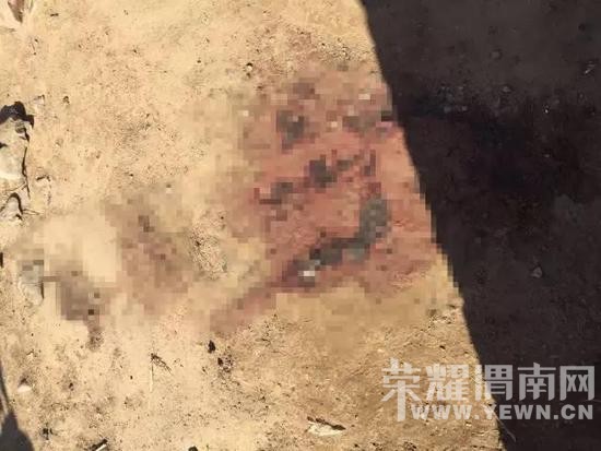 �ӱ����ӳ�Ϧɱ��һ��4�� 2����ͯδ������