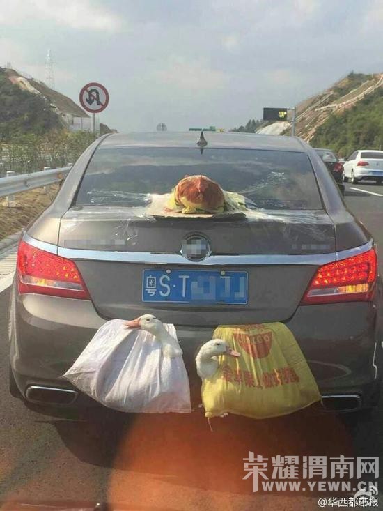 ����Ѽһ��"�˳�"�ϸ��� ����:���÷�����(ͼ)