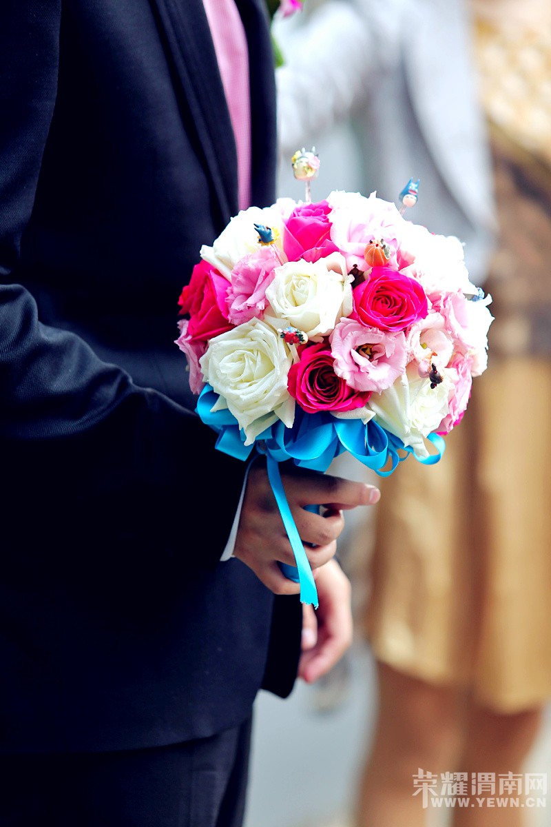 ӵ��һ����è�Ļ��񣬴����޺���