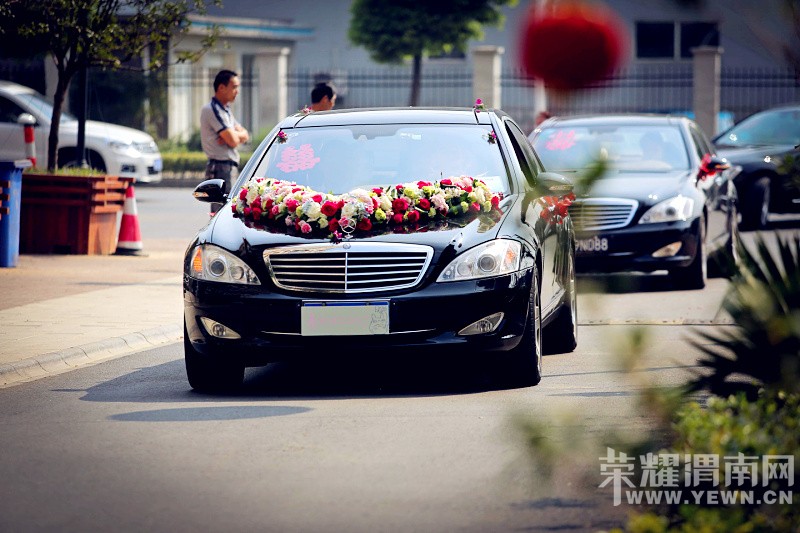 ӵ��һ����è�Ļ��񣬴����޺���