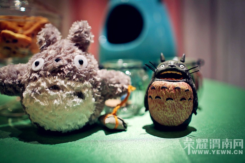 ӵ��һ����è�Ļ��񣬴����޺���