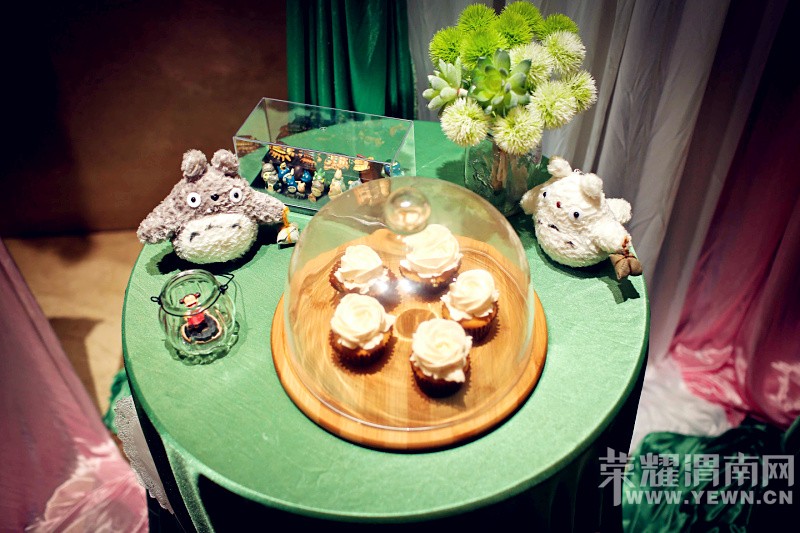 ӵ��һ����è�Ļ��񣬴����޺���