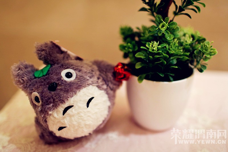 ӵ��һ����è�Ļ��񣬴����޺���