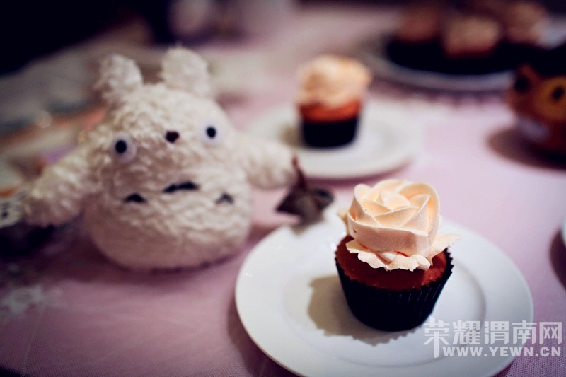 ӵ��һ����è�Ļ��񣬴����޺���