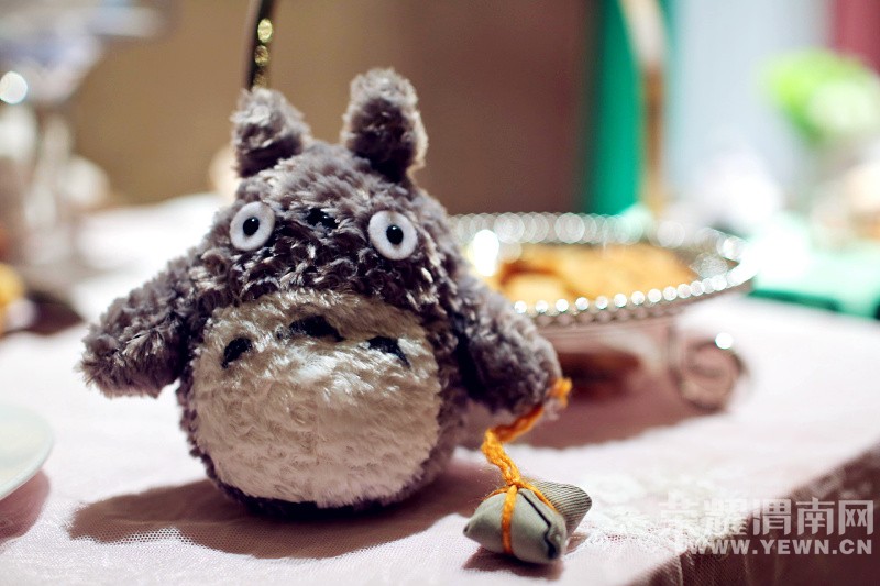 ӵ��һ����è�Ļ��񣬴����޺���