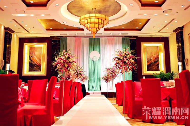 ӵ��һ����è�Ļ��񣬴����޺���