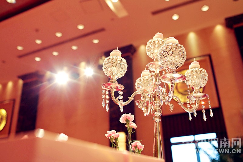 ӵ��һ����è�Ļ��񣬴����޺���