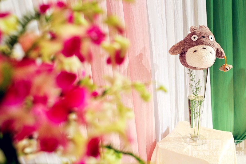 ӵ��һ����è�Ļ��񣬴����޺���