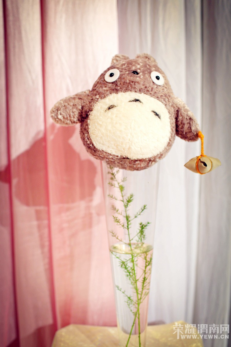 ӵ��һ����è�Ļ��񣬴����޺���