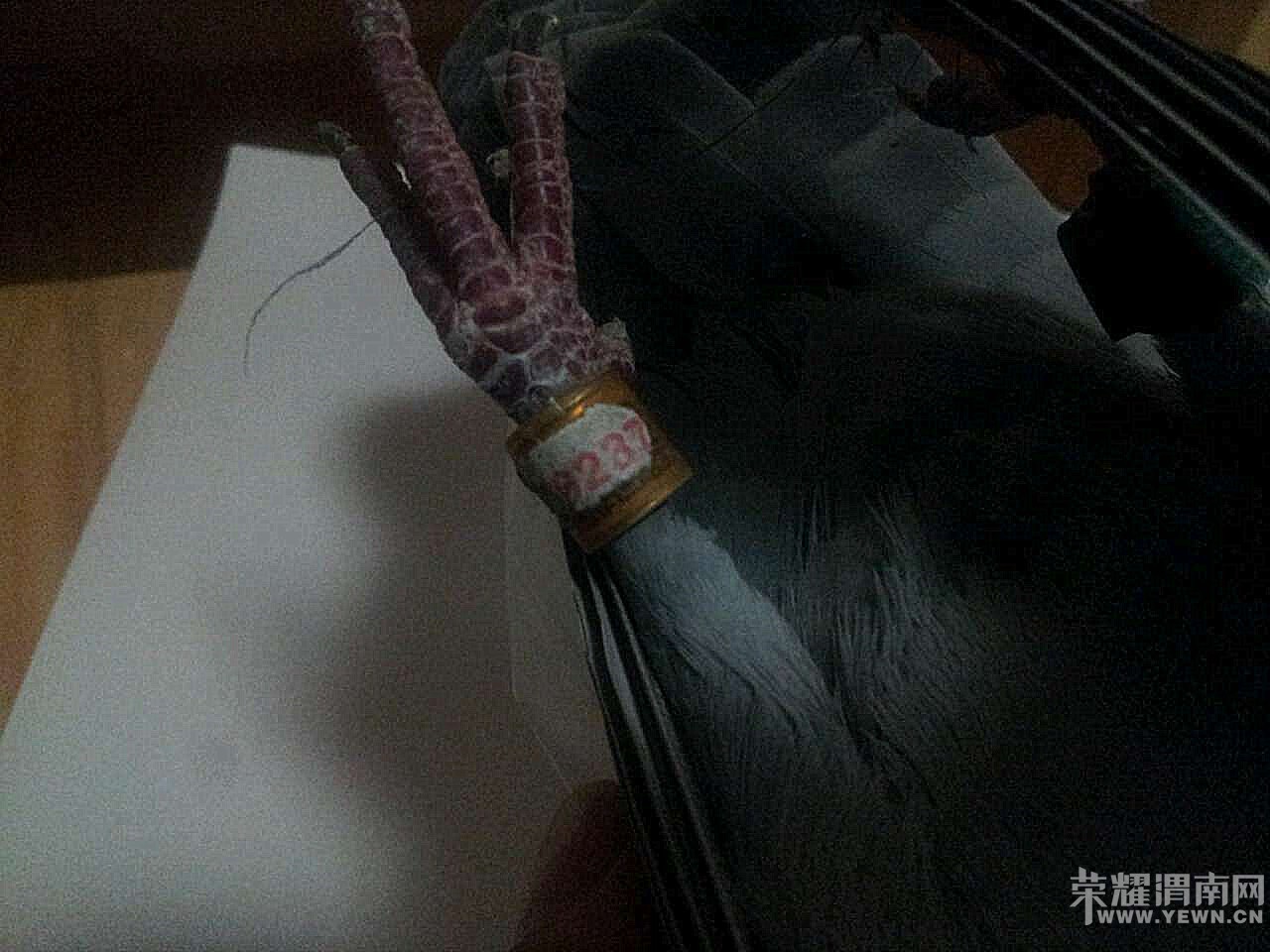 ����ײ���ߣ����ˣ�������----------С���֣ܽ���94�ڣ�