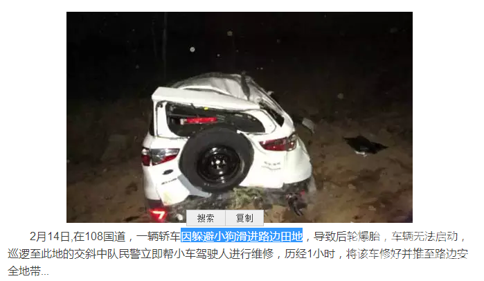 �����ҿ�����μ������������һֻè�������Ҳ���ڣ�����