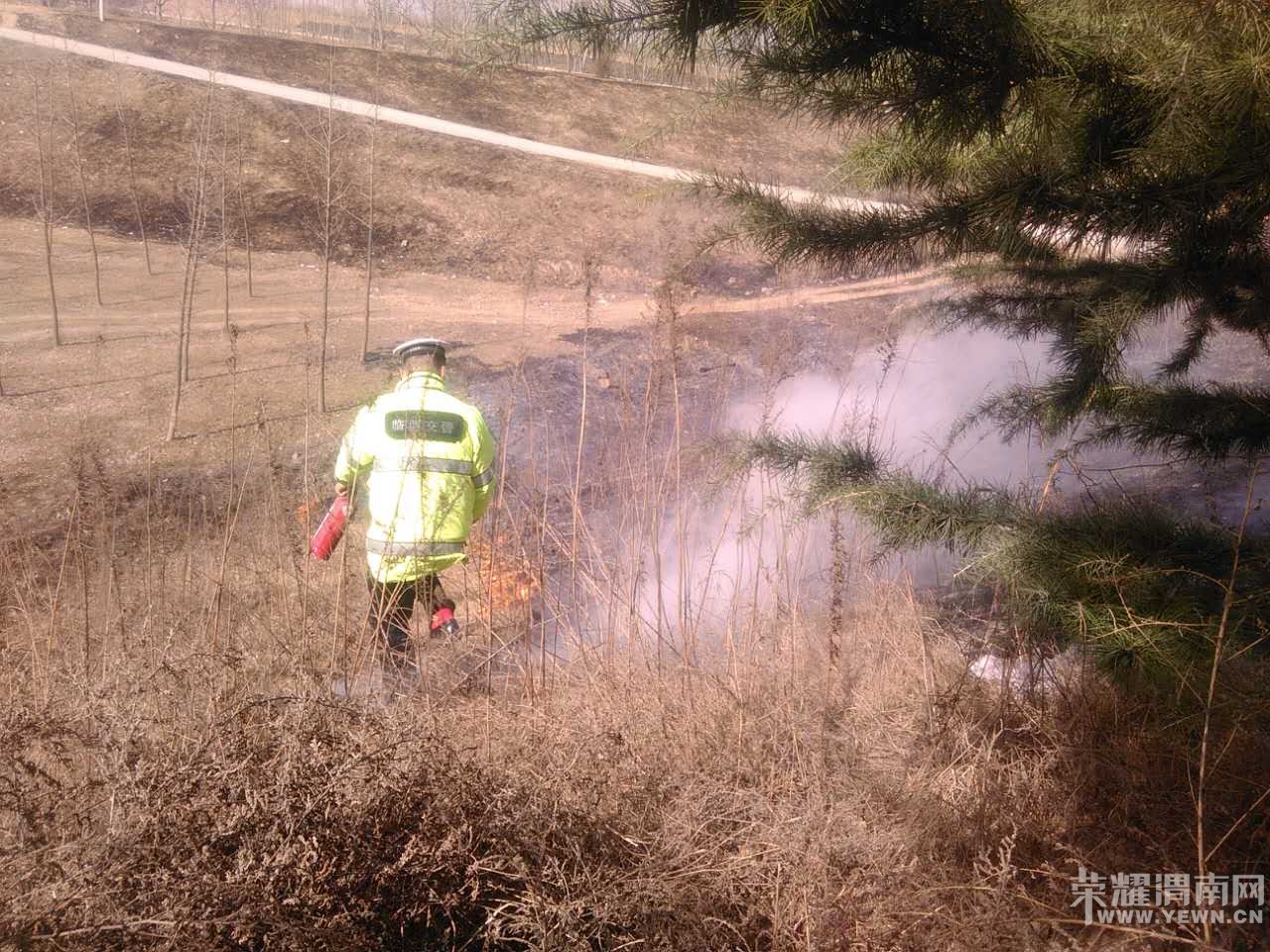 μ��������ӵ̲�ƺ�������� �����ѵõ����ƣ���ͼ��