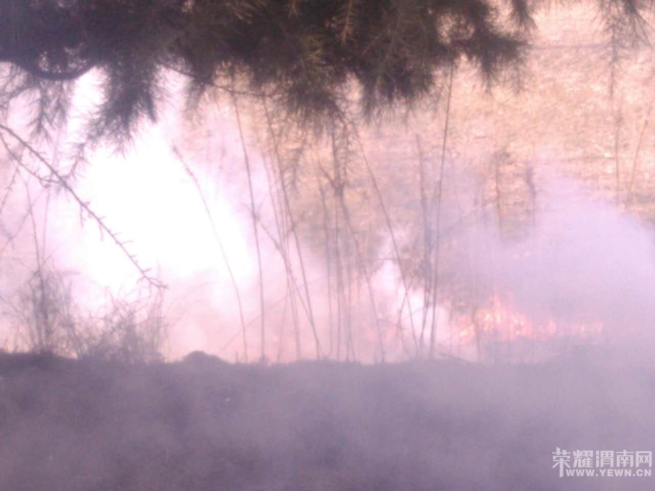 μ��������ӵ̲�ƺ�������� �����ѵõ����ƣ���ͼ��