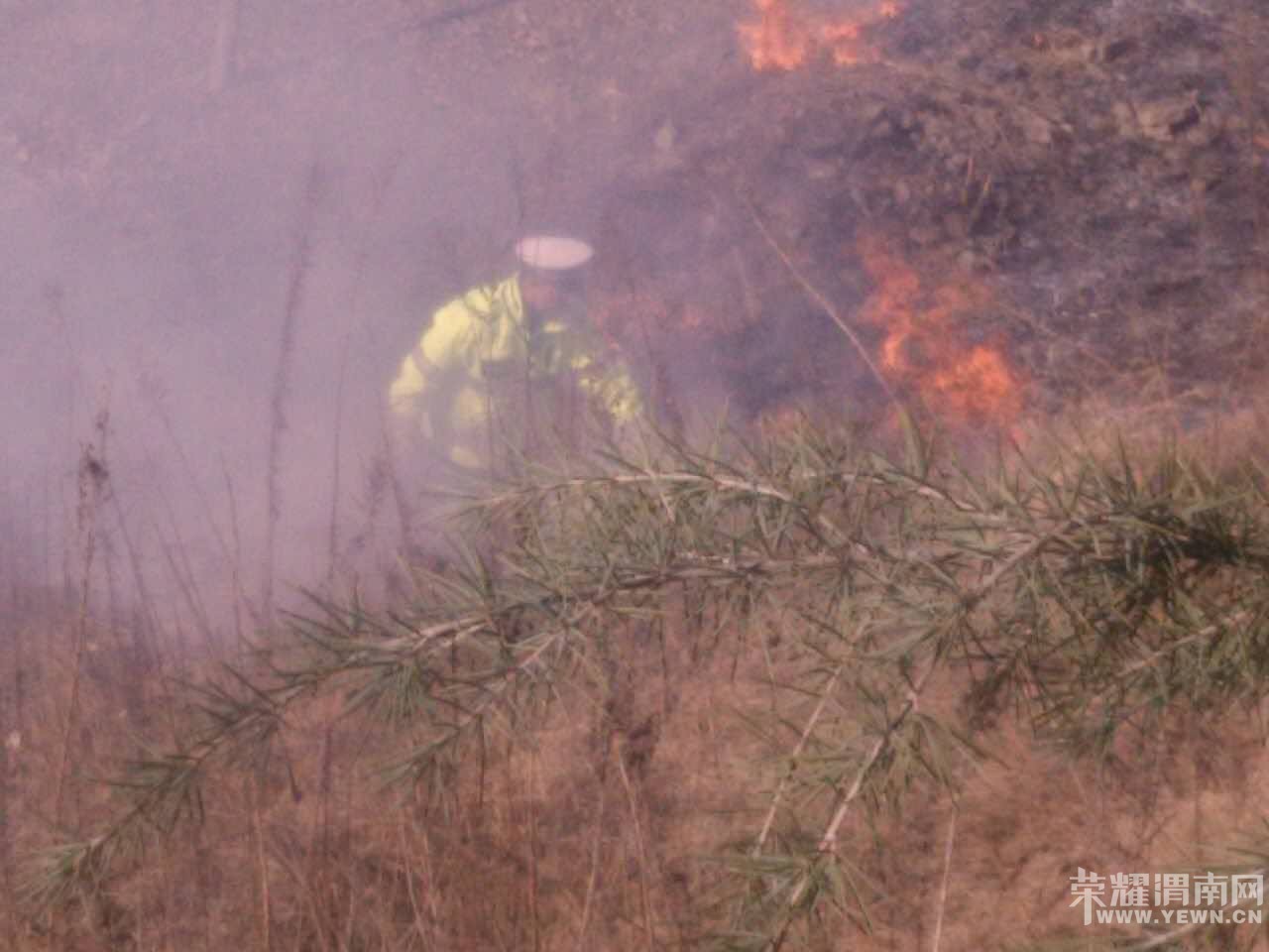 μ��������ӵ̲�ƺ�������� �����ѵõ����ƣ���ͼ��