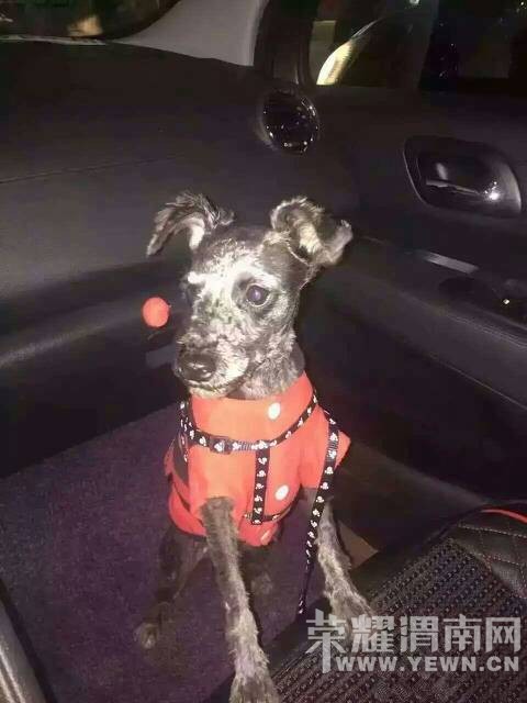 �糿������·���฽�����˿����ҵĹ�û��