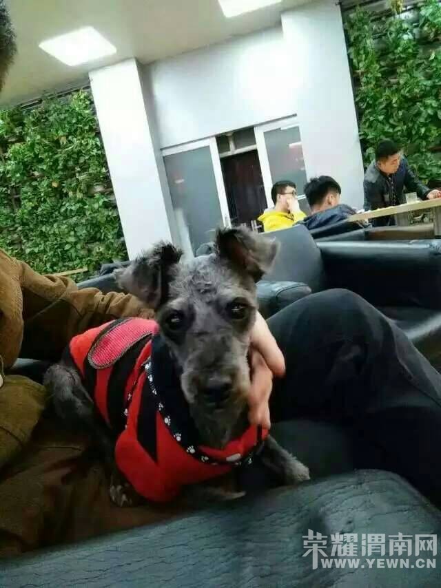 �糿������·���฽�����˿����ҵĹ�û��