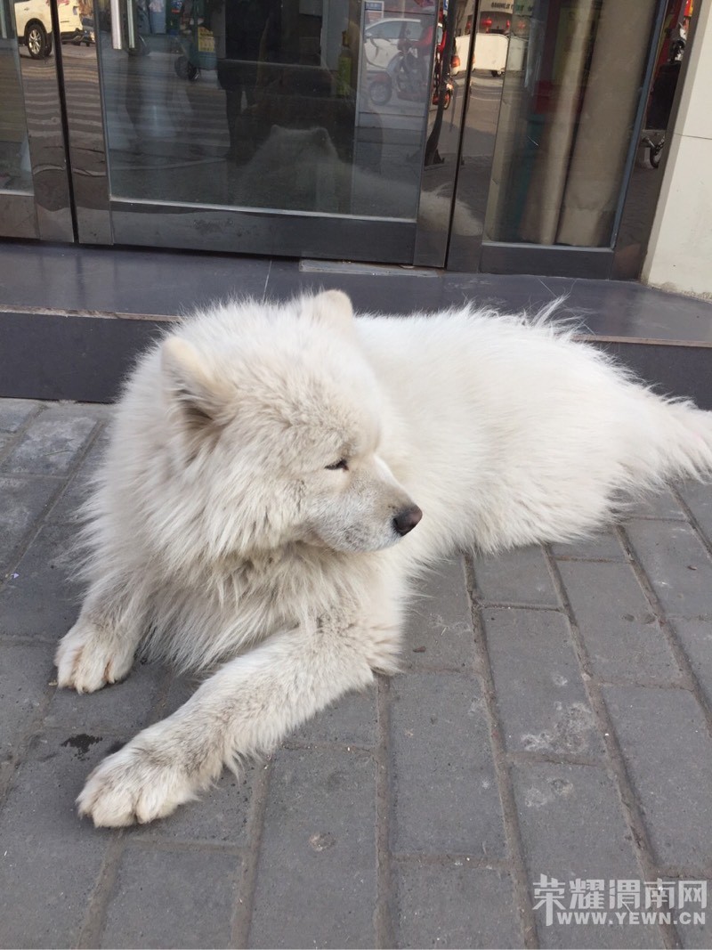 ���Ѿ��ҵ���˭����Ħ����