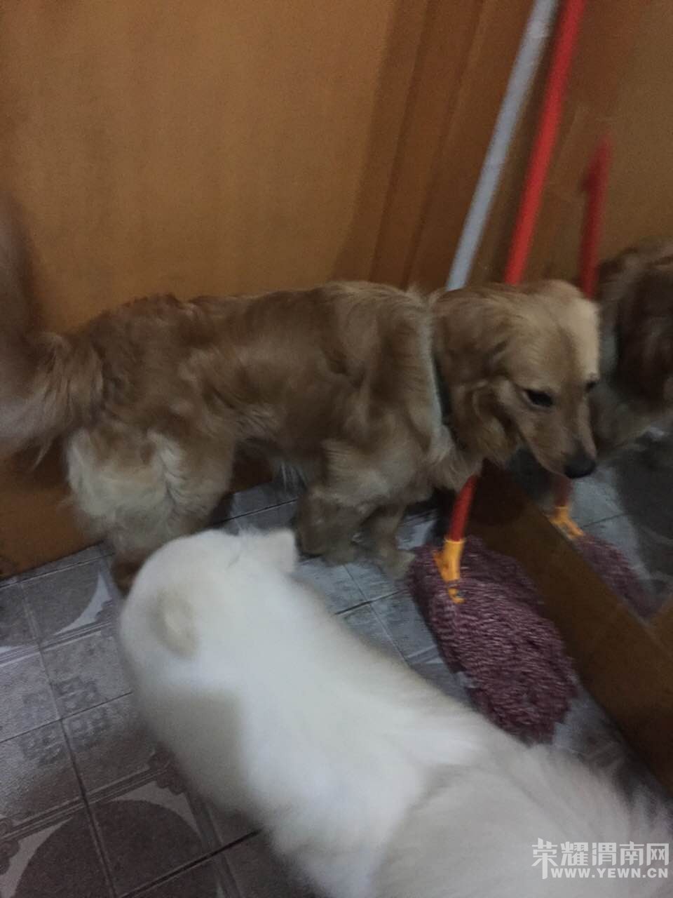 ˭�ҽ�ë�ں���������ˣ�������Ͽ���ȷ����ȡ�ˣ�