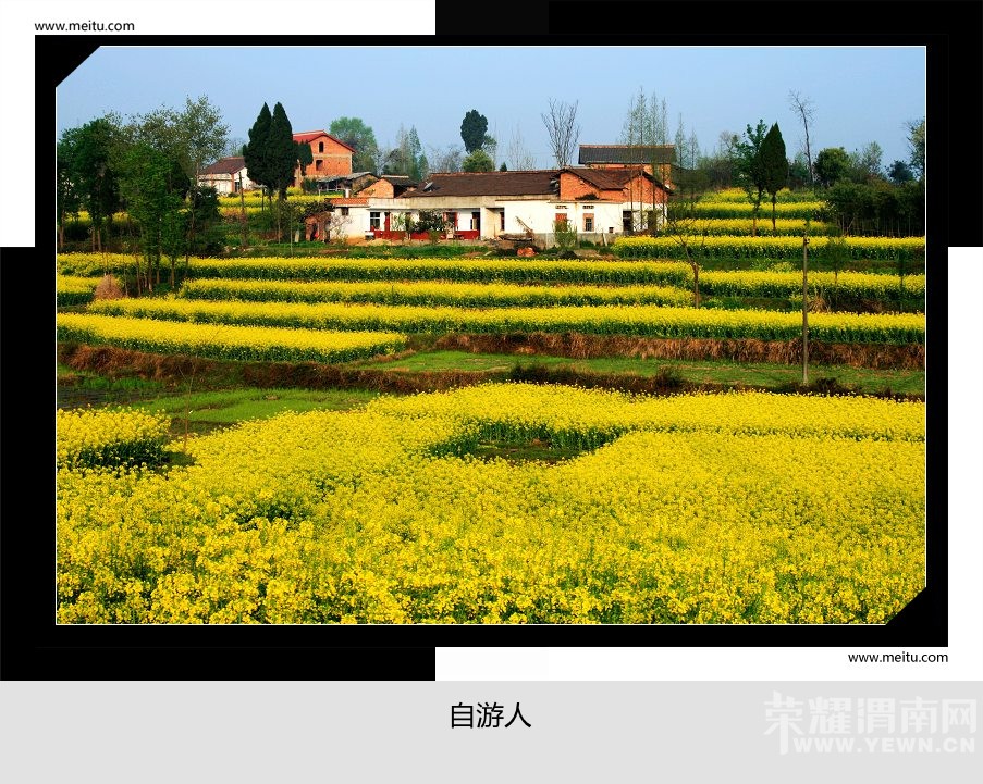 �������ˡ�3.19-3.20���й��������Ͳ˻����ﺺ�ж�����