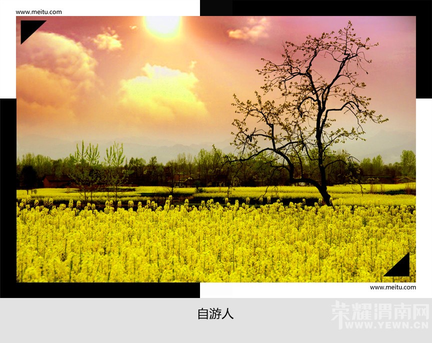 �������ˡ�3.19-3.20���й��������Ͳ˻����ﺺ�ж�����