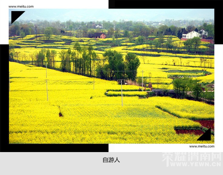 �������ˡ�3.19-3.20���й��������Ͳ˻����ﺺ�ж�����