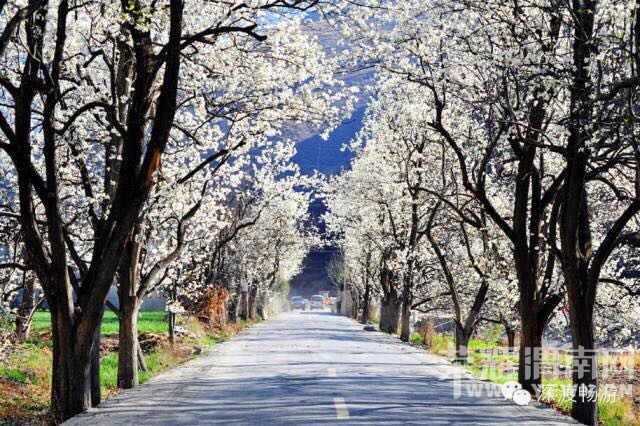 μ�ϡ�����ͬ�л��⡿�����Ĵ���ԭ��̬���͡����ݹ������滨̤����Ӱ֮��