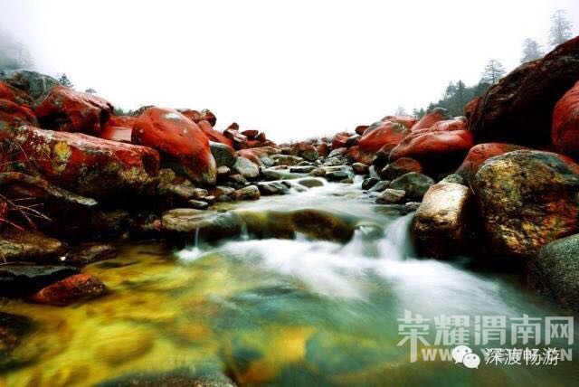 μ�ϡ�����ͬ�л��⡿�����Ĵ���ԭ��̬���͡����ݹ������滨̤����Ӱ֮��