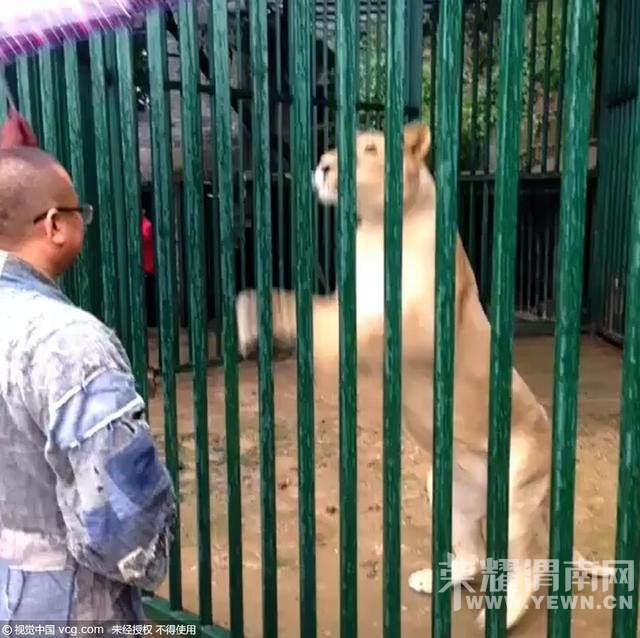ҵ·ʨʧ  Ժƾ˶԰˵û