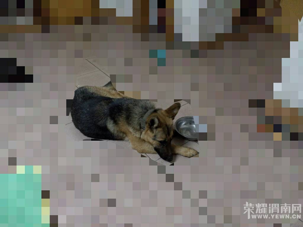 ����������·��һ���¹��ڱ� ��Ѱ���ˣ���