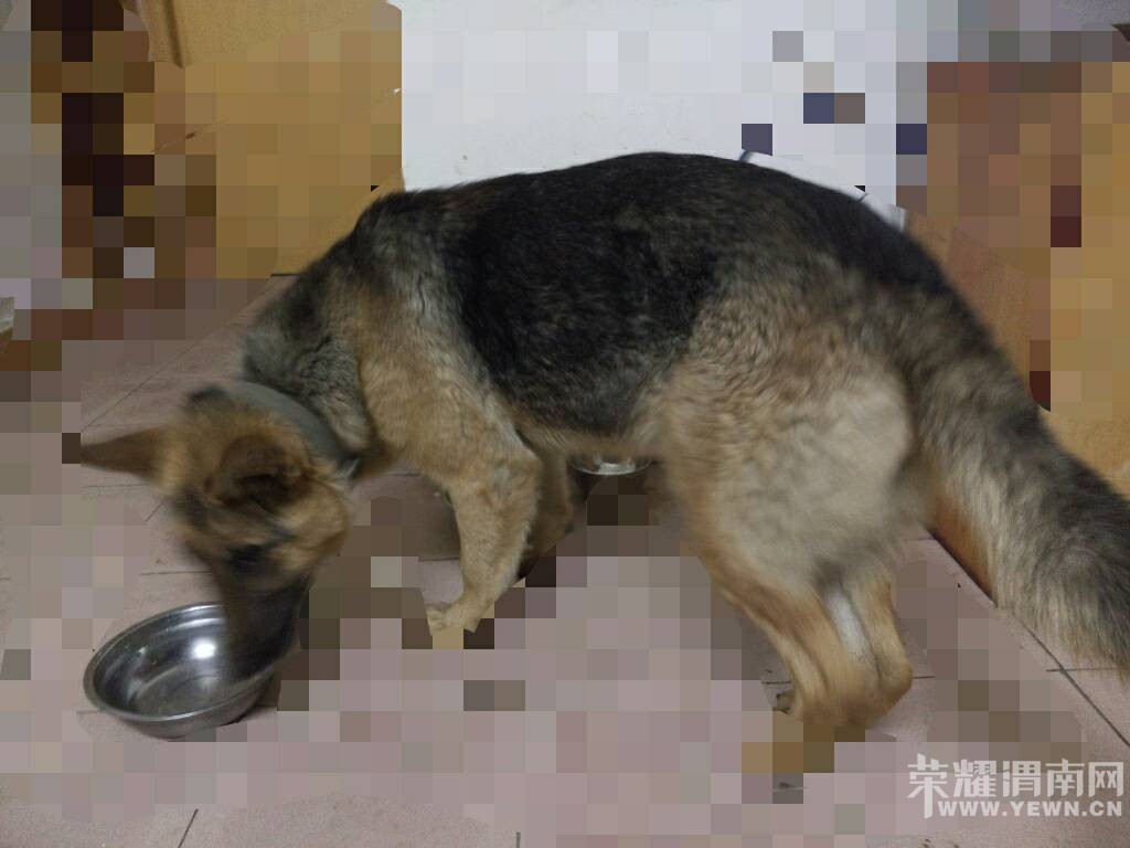 ����������·��һ���¹��ڱ� ��Ѱ���ˣ���