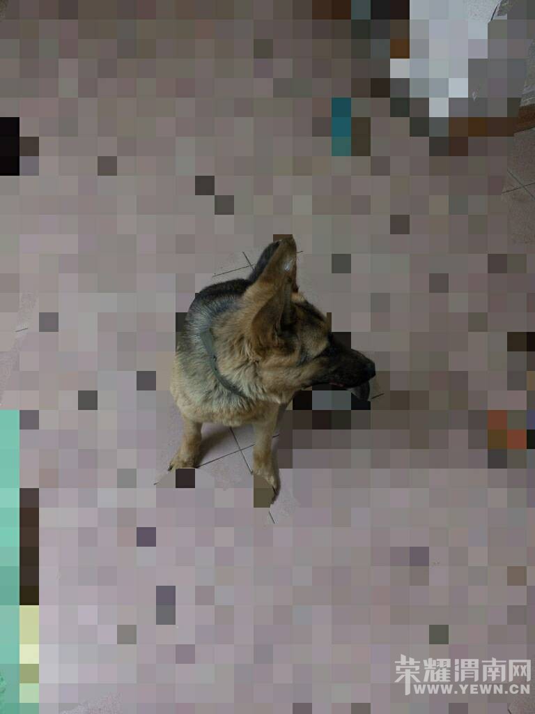 ����������·��һ���¹��ڱ� ��Ѱ���ˣ���