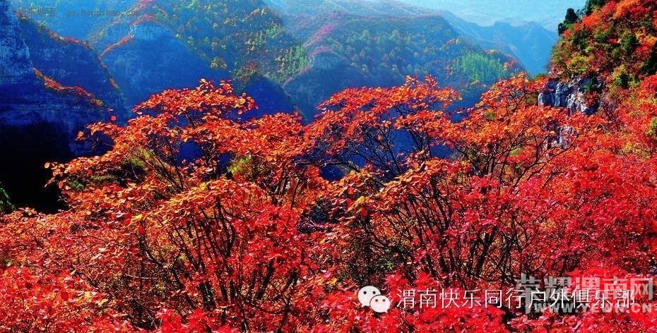 μ�ϡ�����ͬ�л��⡿[Ůʿ��Ʊ]���Ͻ�����̨ɽ������