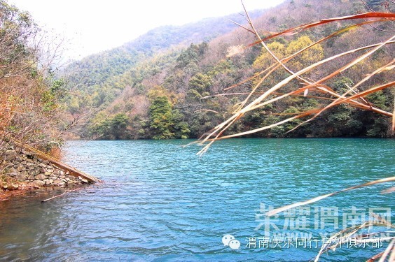 μ�ϡ�����ͬ�л��⡿3��6��������ʳԬ�Ҵ���������ζ����Ѱ��̤���ż�ɽ