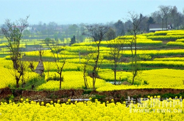 ����Խ���롿���ξ��ֲ�3��12--13���Ĵ����Źء��Ͳ˻������ѻ��ų����ж����Ρ�