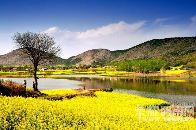 ����Խ���롿���ξ��ֲ�3��12--13���Ĵ����Źء��Ͳ˻������ѻ��ų����ж����Ρ�