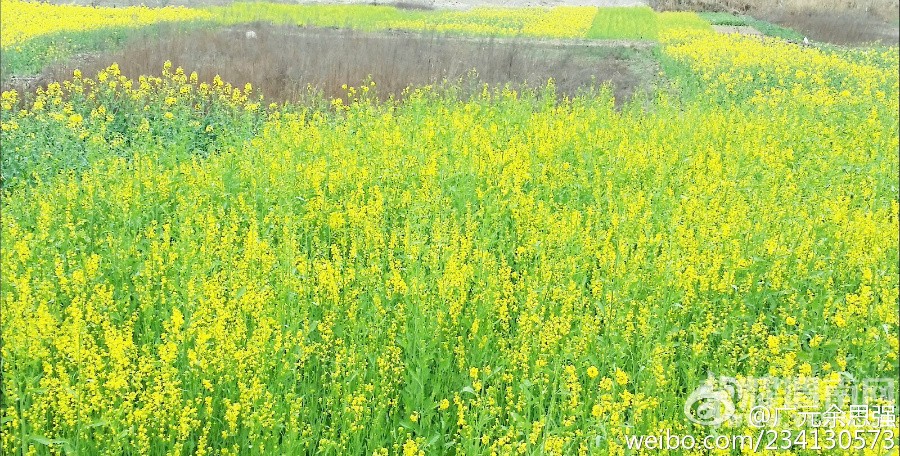 ����Խ���롿���ξ��ֲ�3��12--13���Ĵ����Źء��Ͳ˻������ѻ��ų����ж����Ρ�