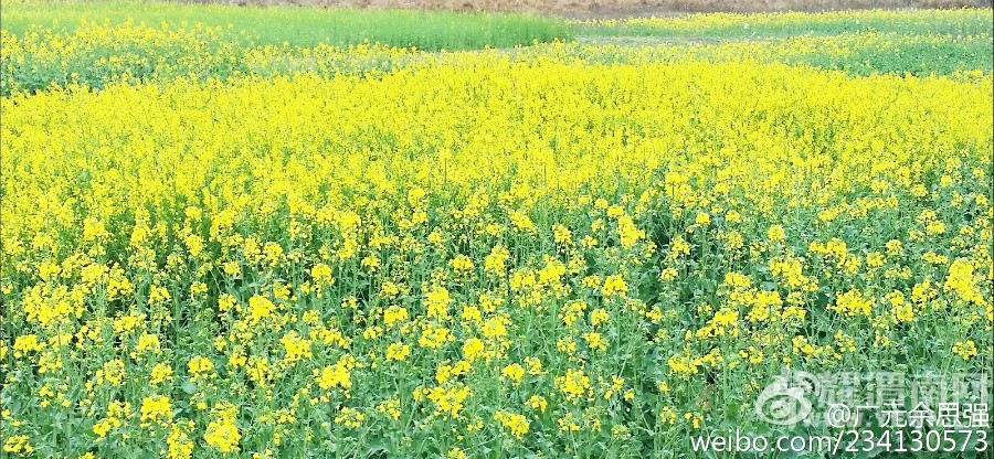 ����Խ���롿���ξ��ֲ�3��12--13���Ĵ����Źء��Ͳ˻������ѻ��ų����ж����Ρ�