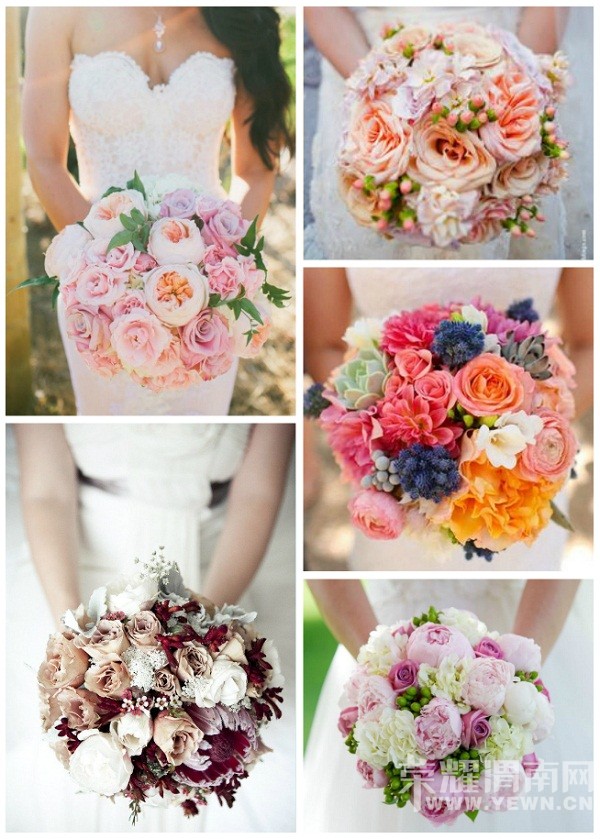 ��ʽ�������������ʹ�ȫ,���п���ϲ����~