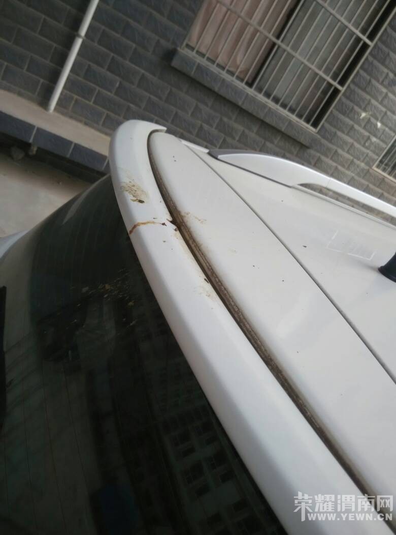 վ��·���ӳ�С����ҵ����������������������