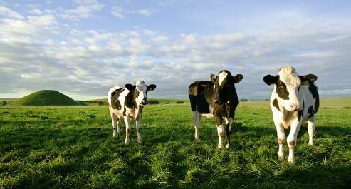 μ�ϡ�����ͬ�л��⡿3��13�����գ�̤��������������+���Ɽ+��Ȫ��������һ����