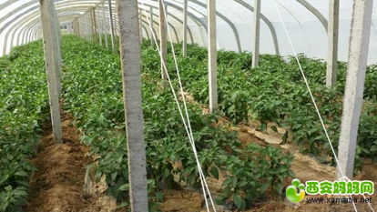 μ�ϡ�����ͬ�л��⡿3��13�����գ�̤��������������+���Ɽ+��Ȫ��������һ����