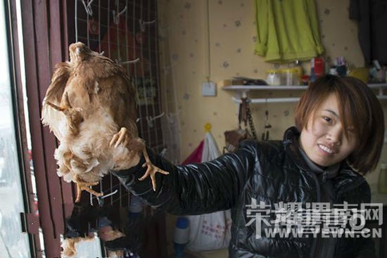 ɽ"ȼ"  רҳƲӰʳ(ͼ)