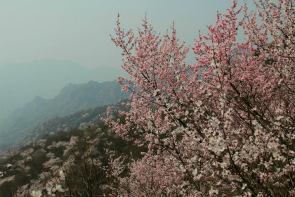 3��19����Լԥ����Ͽ���׽�ӣ�����ٽ�