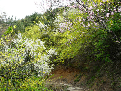 3��19����Լԥ����Ͽ���׽�ӣ�����ٽ�