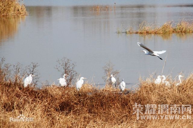 μ��������������ֲ����������Л��ʪ�ع�԰����ټ�