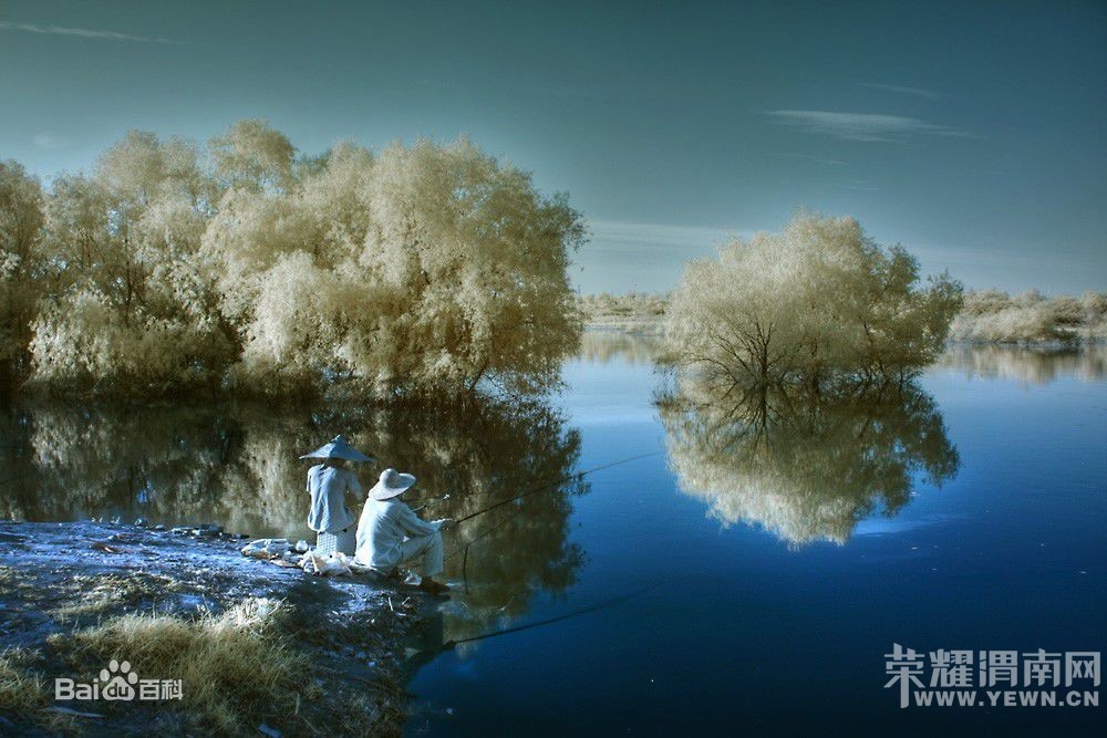 μ��������������ֲ����������Л��ʪ�ع�԰����ټ�