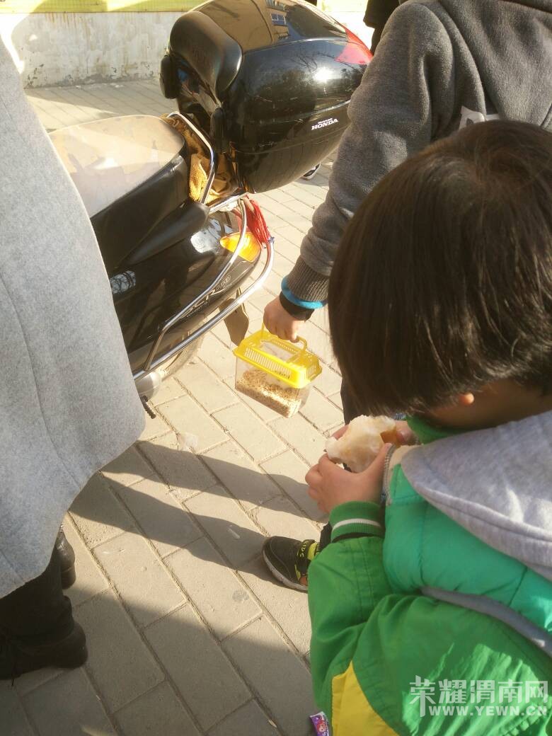 ����ѧУ���ţ���С����������̫��������~~