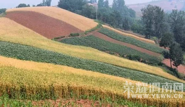 μ�ϡ�����ͬ�л��⡿3��20�գ�����) �ӻ������������ͻ���Ӱ+���������׹���Ʒ��С��