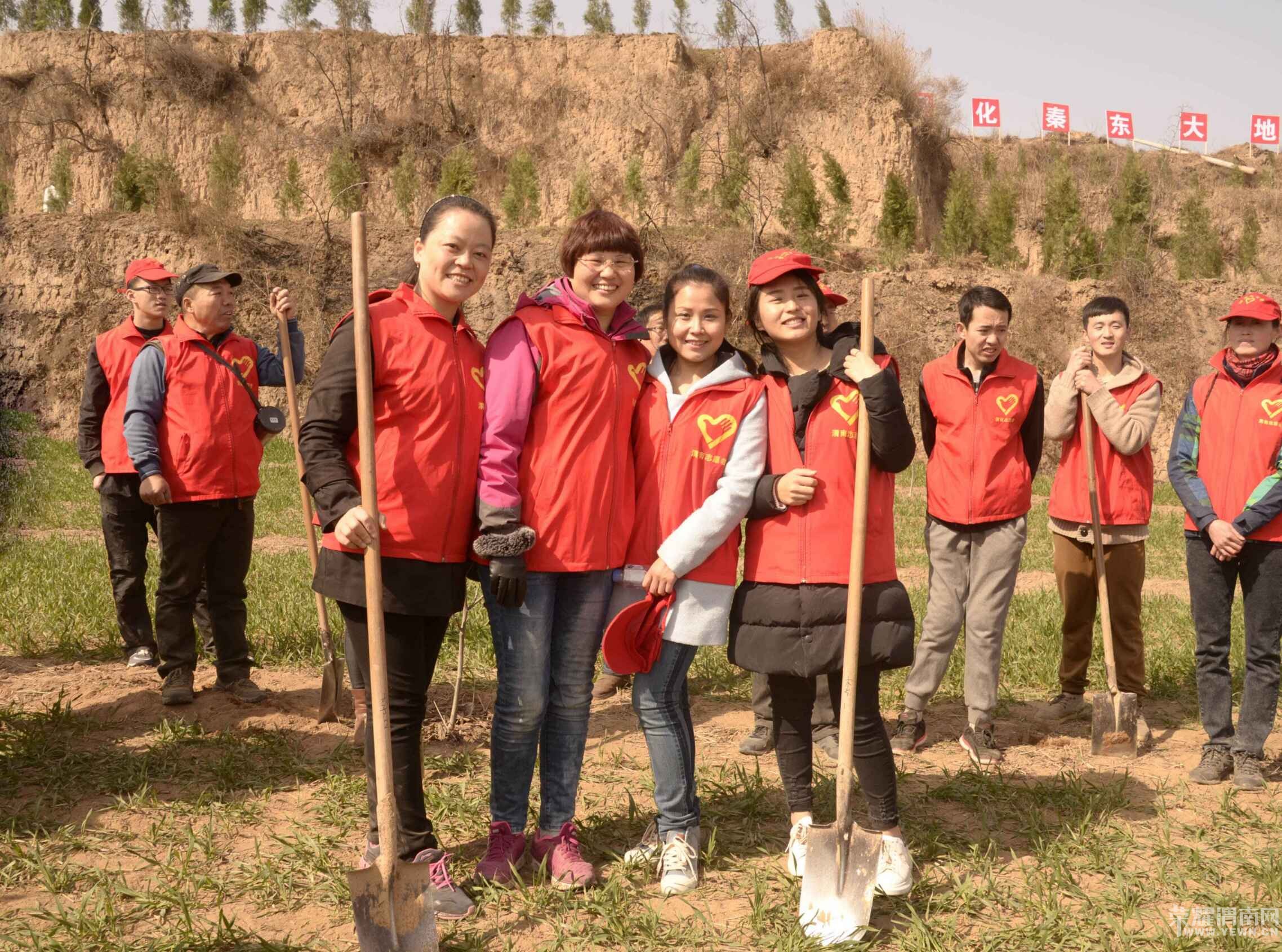 3.11������ֲ����ܽ�