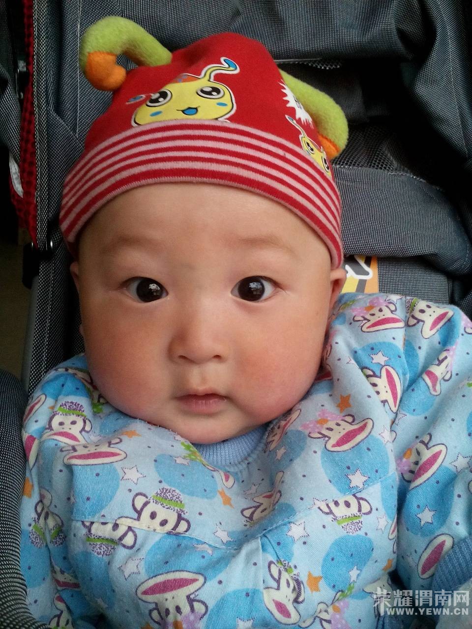 �����Ҽҿɰ��ı���������6���£����������󣬿����ޱ�